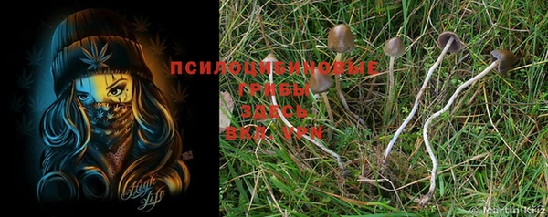шишки Карталы
