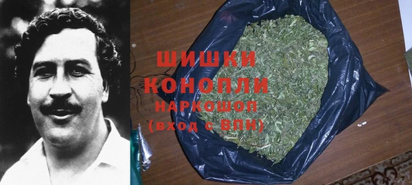 дживик Бежецк