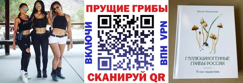 Галлюциногенные грибы Cubensis  Краснокамск 