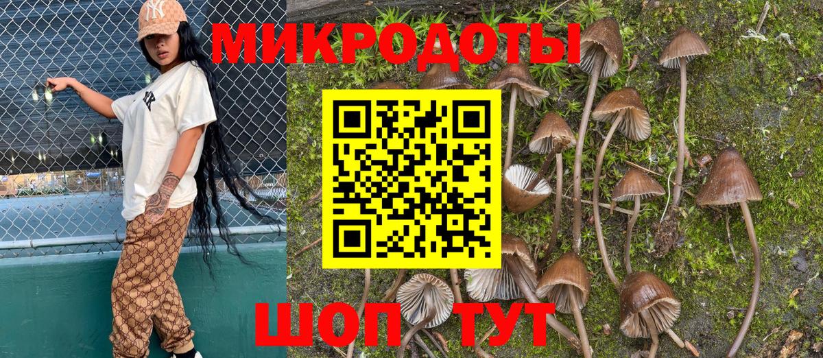 Галлюциногенные грибы Cubensis Краснокамск